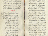 Image of Page from Diwan Manuscript IIS Library 2011